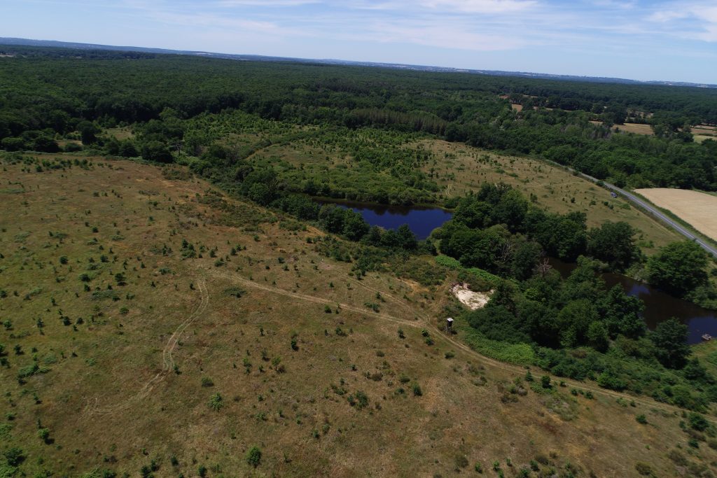 Vue aérienne du site