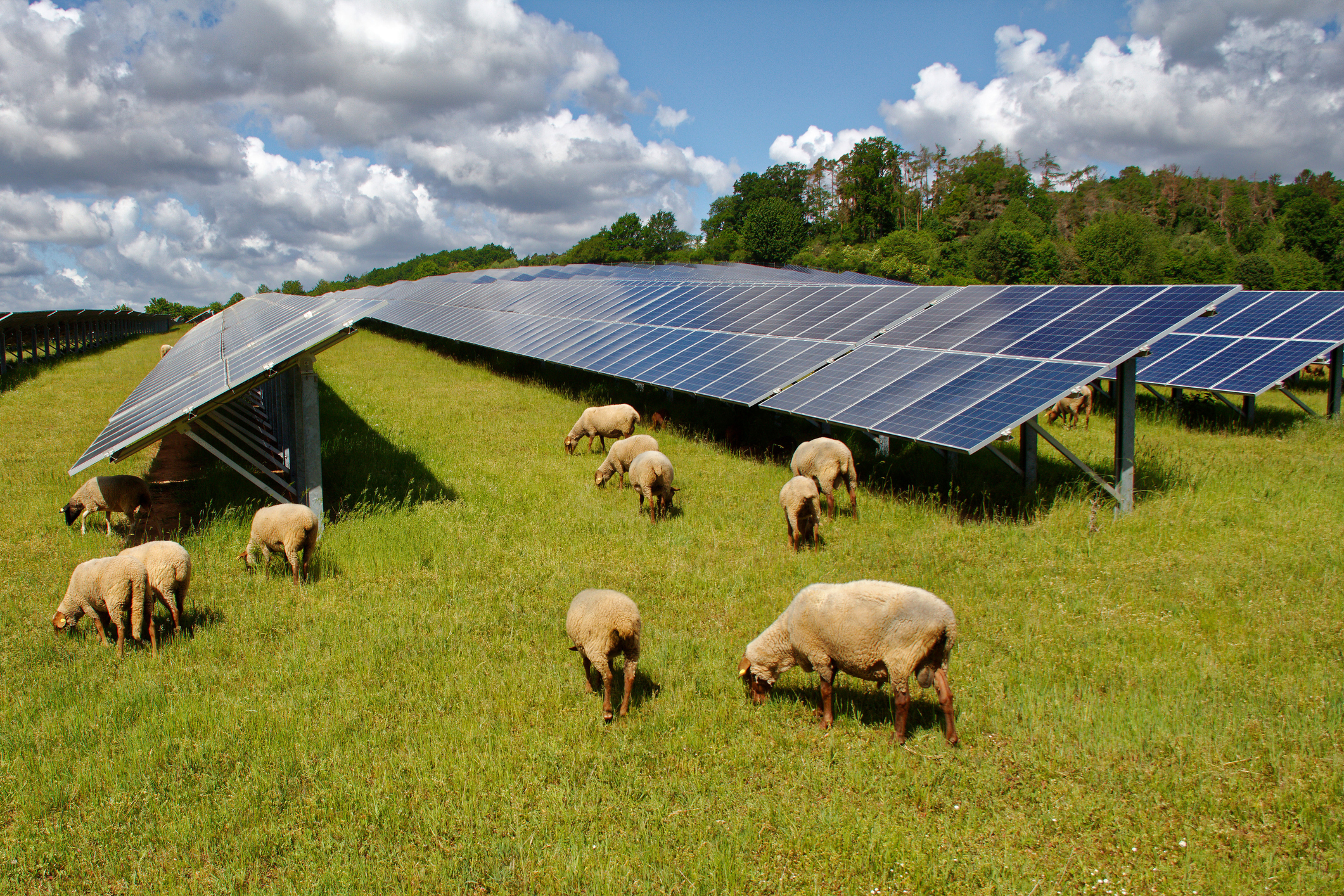Agrivoltaïque