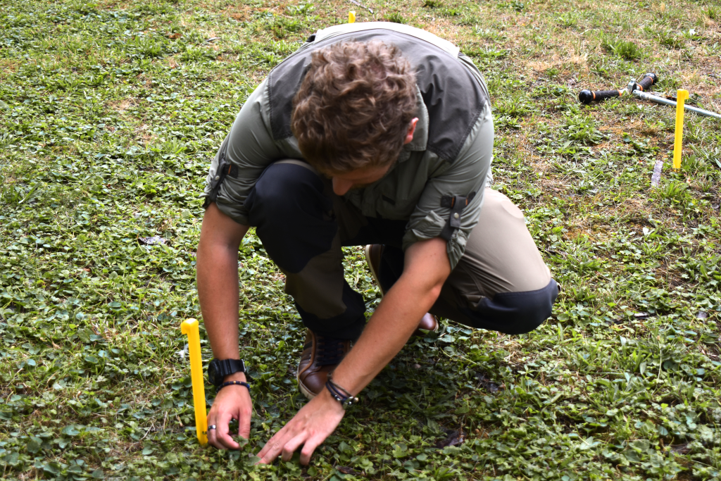 Connaissance et diagnostique